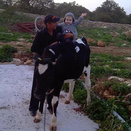 Iazzo Annunziatella * לטרצה